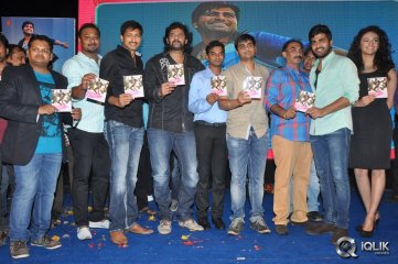 Run Raja Run Audio Launch